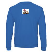 Sweat-shirt de qualité, 50% coton 50% polyster, de marque B&C Collection Vignette