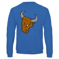 Sweat-shirt de qualité, 50% coton 50% polyster, de marque B&C Collection Vignette