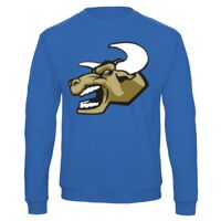 Sweat-shirt de qualité, 50% coton 50% polyster, de marque B&C Collection Vignette