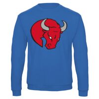 Sweat-shirt de qualité, 50% coton 50% polyster, de marque B&C Collection Vignette