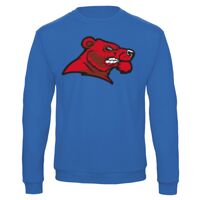 Sweat-shirt de qualité, 50% coton 50% polyster, de marque B&C Collection Vignette