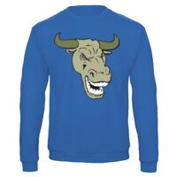 Sweat-shirt de qualité, 50% coton 50% polyster, de marque B&C Collection Vignette