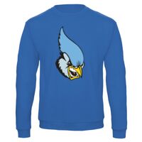 Sweat-shirt de qualité, 50% coton 50% polyster, de marque B&C Collection Vignette