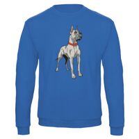 Sweat-shirt de qualité, 50% coton 50% polyster, de marque B&C Collection Vignette