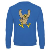 Sweat-shirt de qualité, 50% coton 50% polyster, de marque B&C Collection Vignette