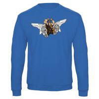 Sweat-shirt de qualité, 50% coton 50% polyster, de marque B&C Collection Vignette