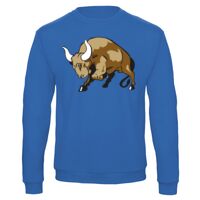 Sweat-shirt de qualité, 50% coton 50% polyster, de marque B&C Collection Vignette