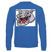 Sweat-shirt de qualité, 50% coton 50% polyster, de marque B&C Collection Vignette