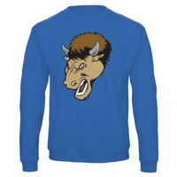 Sweat-shirt de qualité, 50% coton 50% polyster, de marque B&C Collection Vignette