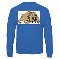 Sweat-shirt de qualité, 50% coton 50% polyster, de marque B&C Collection Vignette