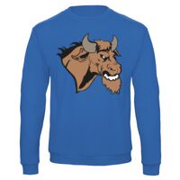 Sweat-shirt de qualité, 50% coton 50% polyster, de marque B&C Collection Vignette