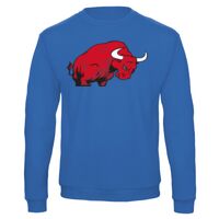 Sweat-shirt de qualité, 50% coton 50% polyster, de marque B&C Collection Vignette