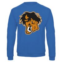 Sweat-shirt de qualité, 50% coton 50% polyster, de marque B&C Collection Vignette