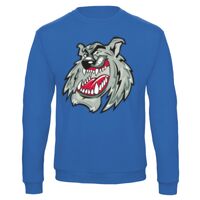 Sweat-shirt de qualité, 50% coton 50% polyster, de marque B&C Collection Vignette