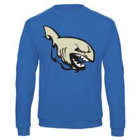 Sweat-shirt de qualité, 50% coton 50% polyster, de marque B&C Collection Vignette