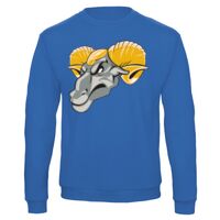 Sweat-shirt de qualité, 50% coton 50% polyster, de marque B&C Collection Vignette