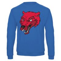 Sweat-shirt de qualité, 50% coton 50% polyster, de marque B&C Collection Vignette