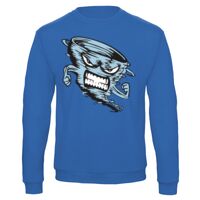 Sweat-shirt de qualité, 50% coton 50% polyster, de marque B&C Collection Vignette