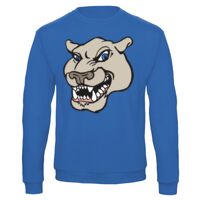 Sweat-shirt de qualité, 50% coton 50% polyster, de marque B&C Collection Vignette