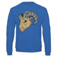 Sweat-shirt de qualité, 50% coton 50% polyster, de marque B&C Collection Vignette