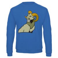 Sweat-shirt de qualité, 50% coton 50% polyster, de marque B&C Collection Vignette