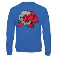 Sweat-shirt de qualité, 50% coton 50% polyster, de marque B&C Collection Vignette