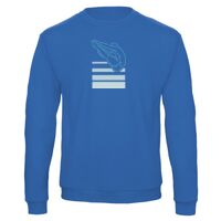 Sweat-shirt de qualité, 50% coton 50% polyster, de marque B&C Collection Vignette