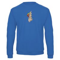 Sweat-shirt de qualité, 50% coton 50% polyster, de marque B&C Collection Vignette