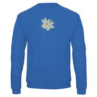 Sweat-shirt de qualité, 50% coton 50% polyster, de marque B&C Collection Vignette