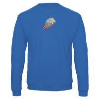 Sweat-shirt de qualité, 50% coton 50% polyster, de marque B&C Collection Vignette