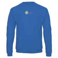 Sweat-shirt de qualité, 50% coton 50% polyster, de marque B&C Collection Vignette