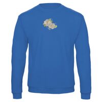 Sweat-shirt de qualité, 50% coton 50% polyster, de marque B&C Collection Vignette