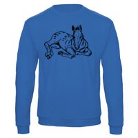 Sweat-shirt de qualité, 50% coton 50% polyster, de marque B&C Collection Vignette