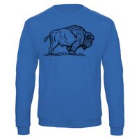 Sweat-shirt de qualité, 50% coton 50% polyster, de marque B&C Collection Vignette
