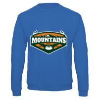 Sweat-shirt de qualité, 50% coton 50% polyster, de marque B&C Collection Vignette