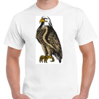 T-shirt Gildan Hammer adulte, manches courtes, 100% coton épais et doux, 203 g/m², tailles S au 5XL. Vignette