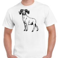 T-shirt Gildan Hammer adulte, manches courtes, 100% coton épais et doux, 203 g/m², tailles S au 5XL. Vignette