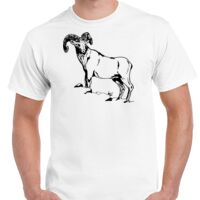 T-shirt Gildan Hammer adulte, manches courtes, 100% coton épais et doux, 203 g/m², tailles S au 5XL. Vignette