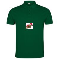 POLO IMPERIUM Vignette