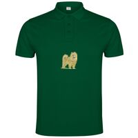 POLO IMPERIUM Vignette