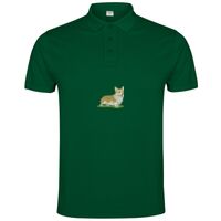 POLO IMPERIUM Vignette