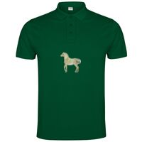 POLO IMPERIUM Vignette