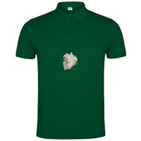 POLO IMPERIUM Vignette