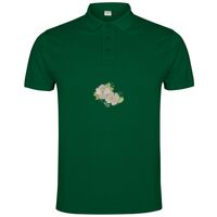 POLO IMPERIUM Vignette