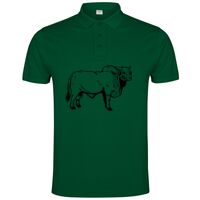 POLO IMPERIUM Vignette