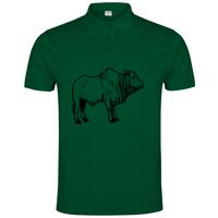 POLO IMPERIUM Vignette