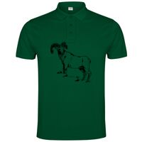 POLO IMPERIUM Vignette