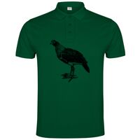 POLO IMPERIUM Vignette