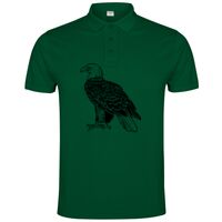 POLO IMPERIUM Vignette