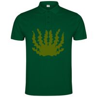POLO IMPERIUM Vignette